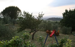 Agriturismo in Tuscany for holidays with kids