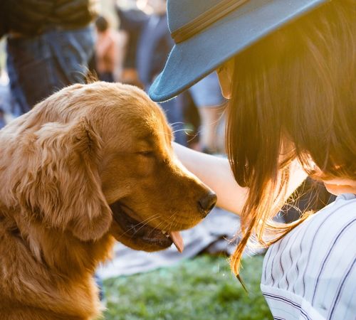 offerta vacanze chianti col cane - agriturismo poggiarello siena monteriggioni
